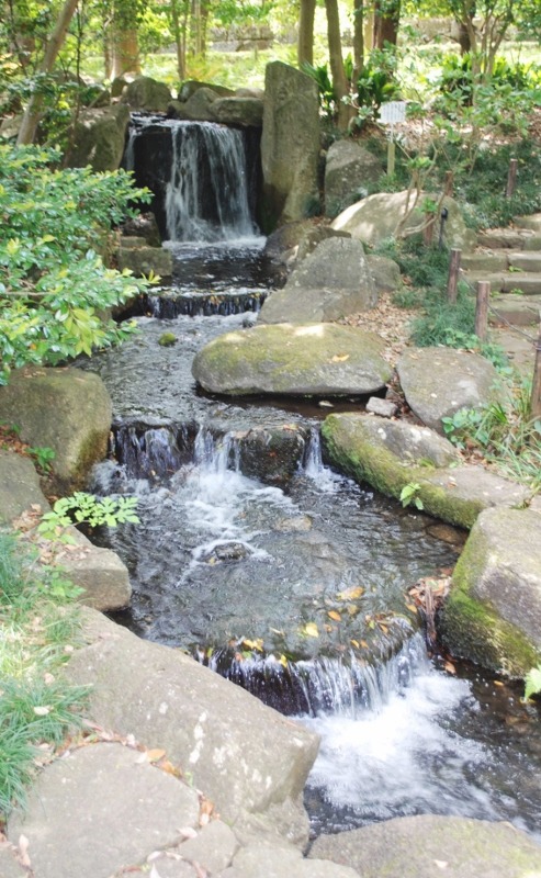 e0025300_15302233.jpg