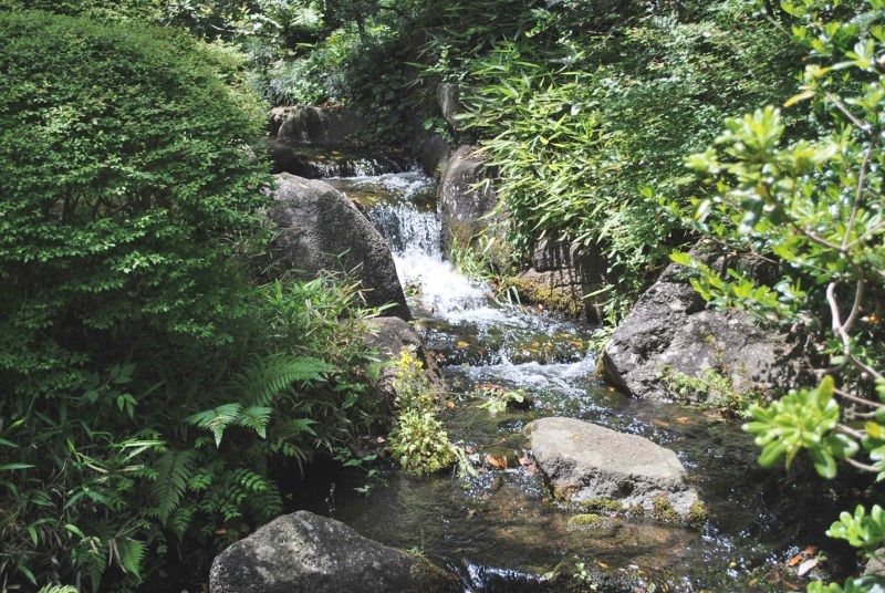 e0025300_15304230.jpg