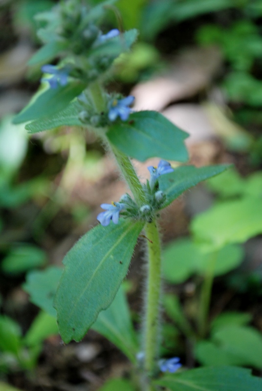 e0025300_16352433.jpg