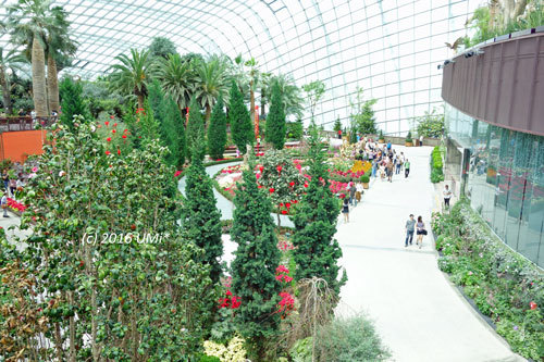 シンガポールちょこっと旅 vol.11 ガーデンズ･バイ･ザ･ベイ（２）フラワードーム - My Trip Style