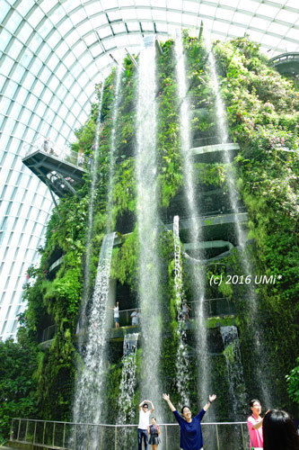 シンガポールちょこっと旅 vol.12 ガーデンズ･バイ･ザ･ベイ（３）クラウドフォレスト - My Trip Style