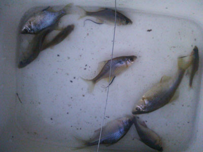 f0082402_21475356.jpg