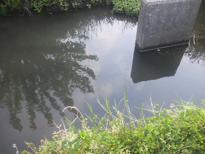 f0082402_2332087.jpg