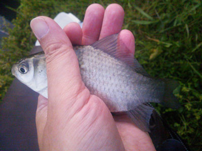 f0082402_23404289.jpg