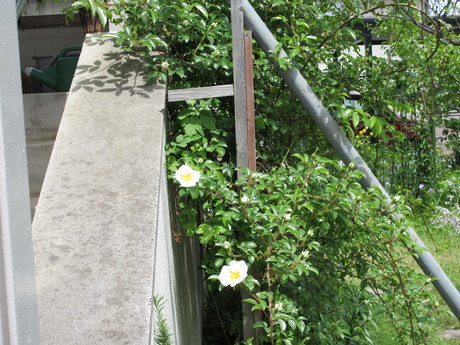 a0203003_13402328.jpg