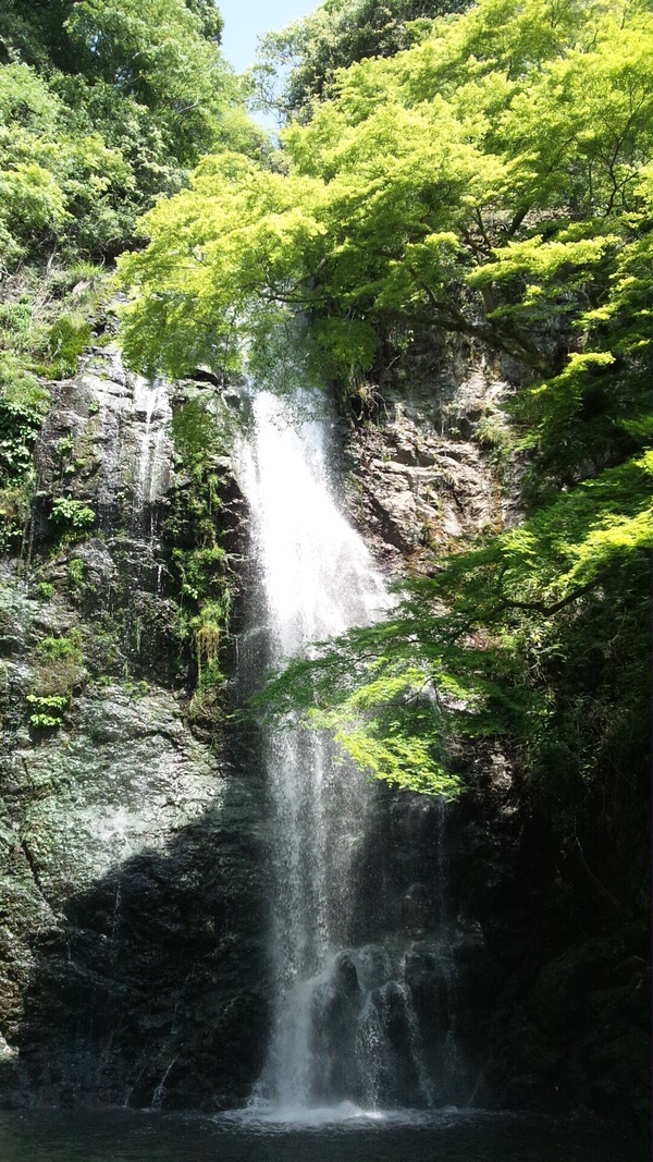 b0027009_17543550.jpg
