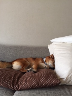 b0229910_11014730.jpg