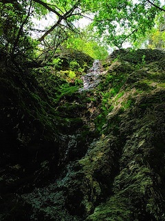 c0359615_09490881.jpg
