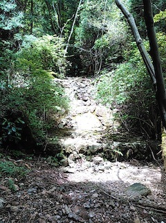 c0359615_09491809.jpg