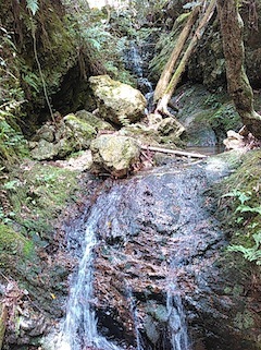 c0359615_09493351.jpg