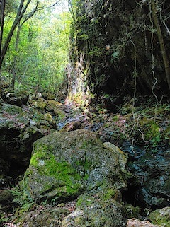 c0359615_09494209.jpg