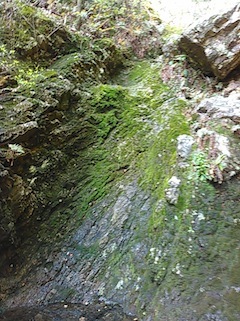 c0359615_09495324.jpg