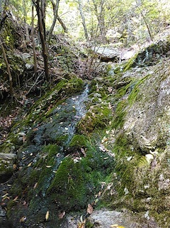 c0359615_09500428.jpg