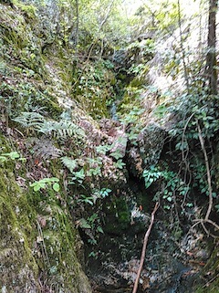 c0359615_09501414.jpg