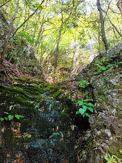 c0359615_09504040.jpg