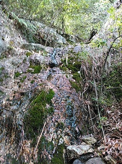 c0359615_09505554.jpg
