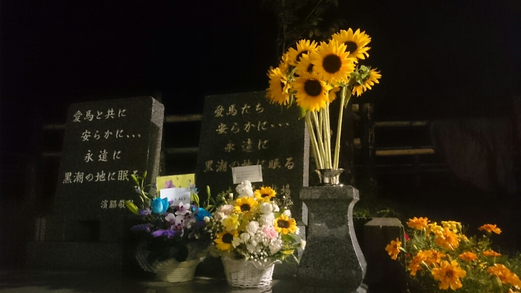 b0187620_20544186.jpg