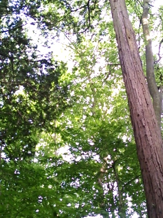 b0082125_1419267.jpg