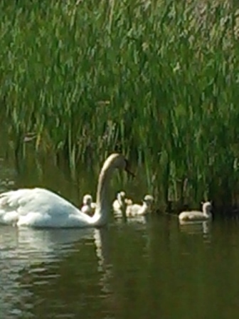 b0082125_1432499.jpg