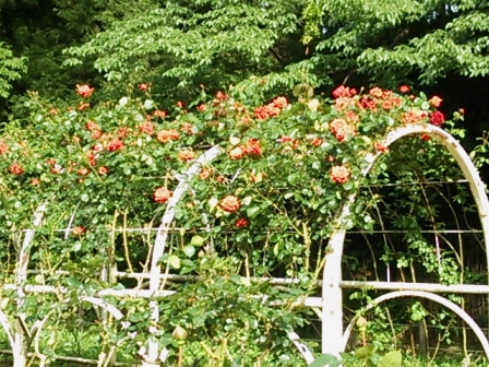 b0082125_14345754.jpg