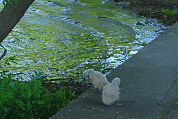 c0104227_8344966.jpg