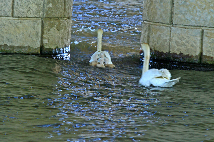 c0104227_8374230.jpg