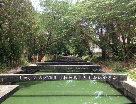 d0042827_16453315.jpg