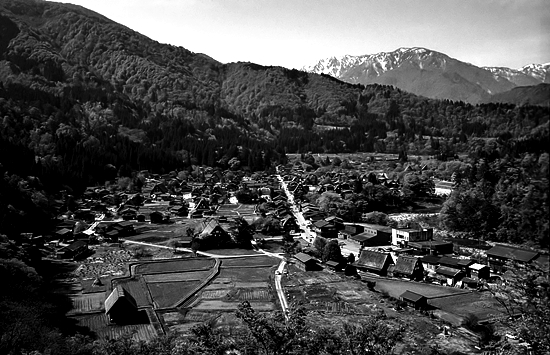 d0001533_11391530.jpg