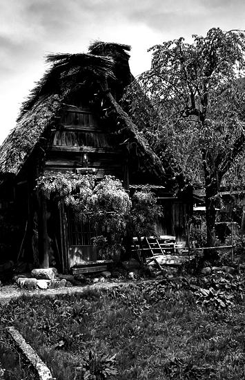 d0001533_11443198.jpg