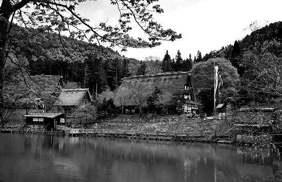 d0001533_8385083.jpg