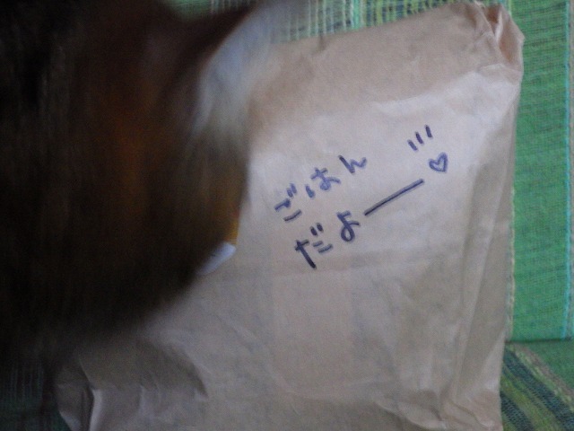a0337237_14060938.jpg