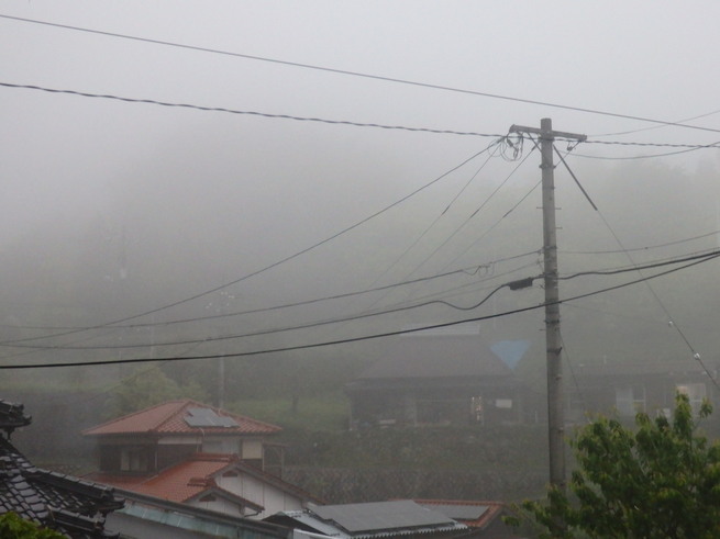 a0054240_216882.jpg