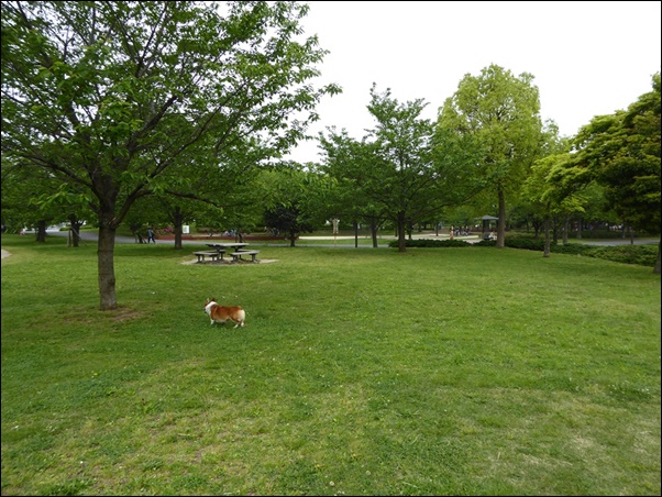 c0128342_16173952.jpg