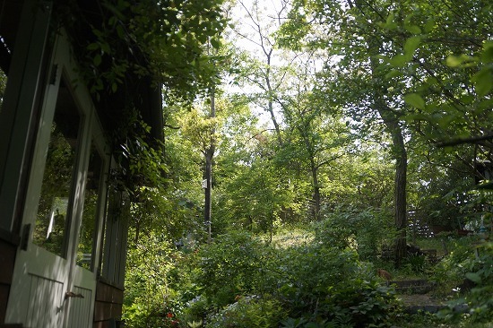 d0083761_18483951.jpg