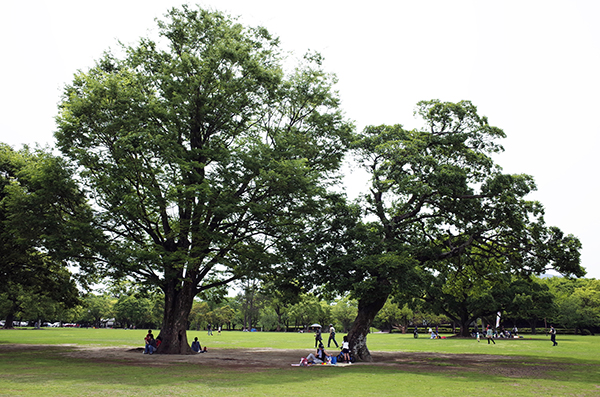 c0048265_2052697.jpg