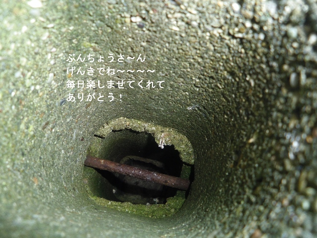 e0031572_7511560.jpg