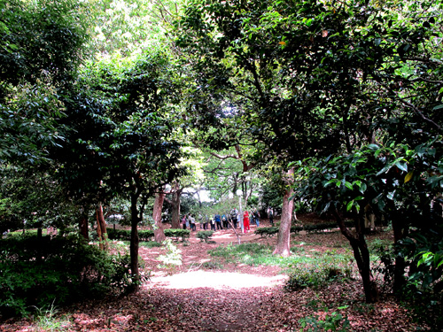 f0195172_2358272.jpg