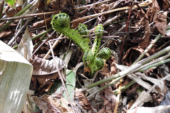 c0237780_190940.jpg