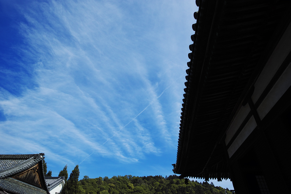 c0059485_21453338.jpg