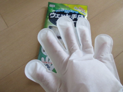 c0310987_16021355.jpg