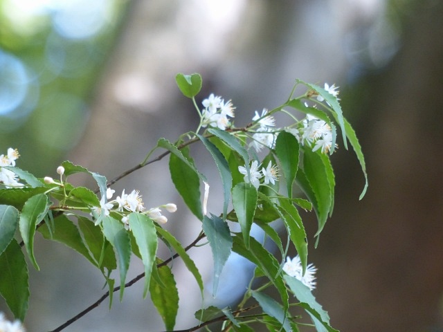 f0357487_20414710.jpg