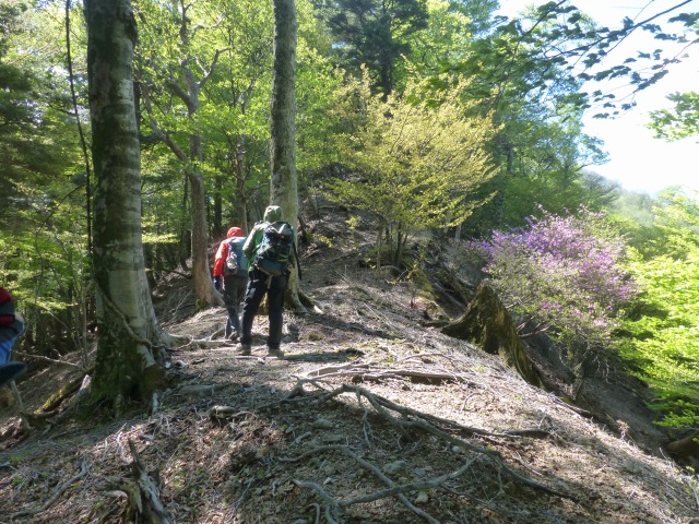 f0357487_20481127.jpg