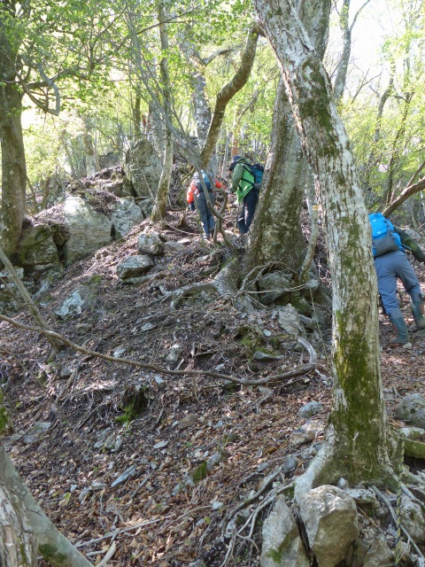 f0357487_20501750.jpg