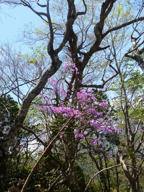 f0357487_2210492.jpg