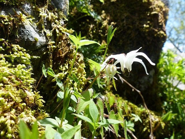f0357487_2212349.jpg