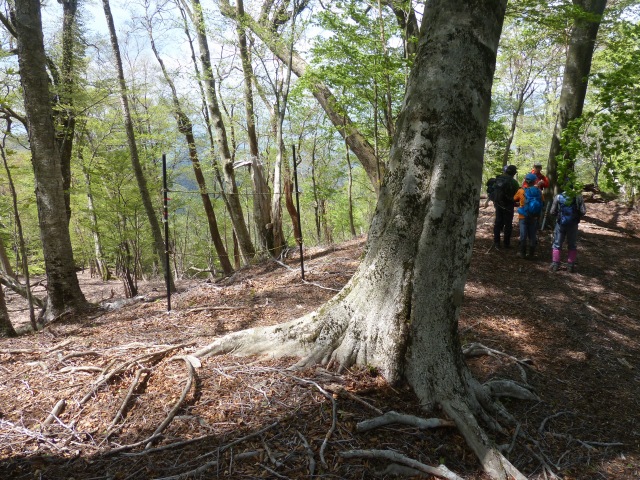 f0357487_2216236.jpg