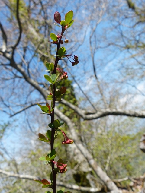 f0357487_223221.jpg