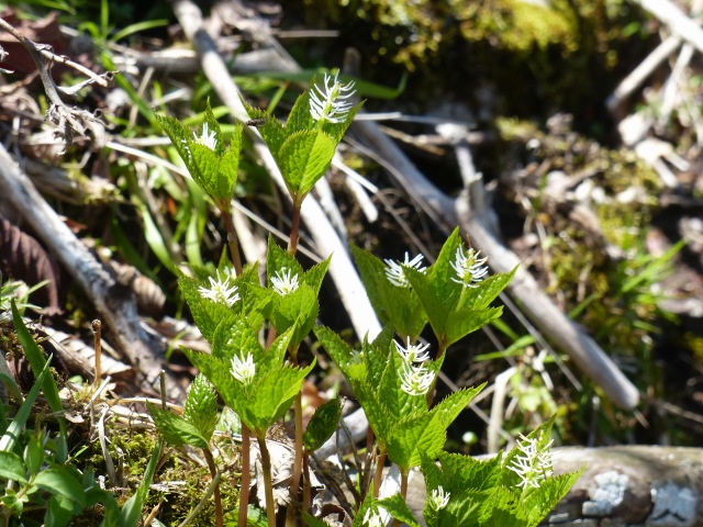 f0357487_227586.jpg