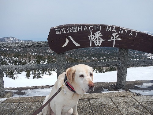 c0337990_14433517.jpg