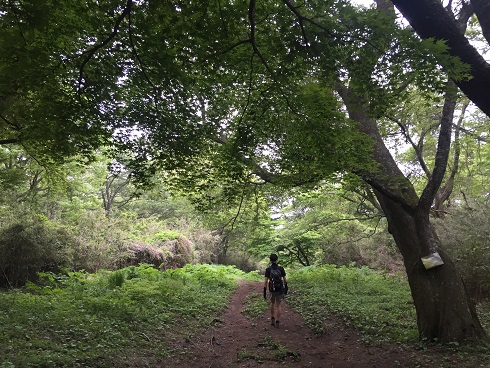 f0202990_0423483.jpg